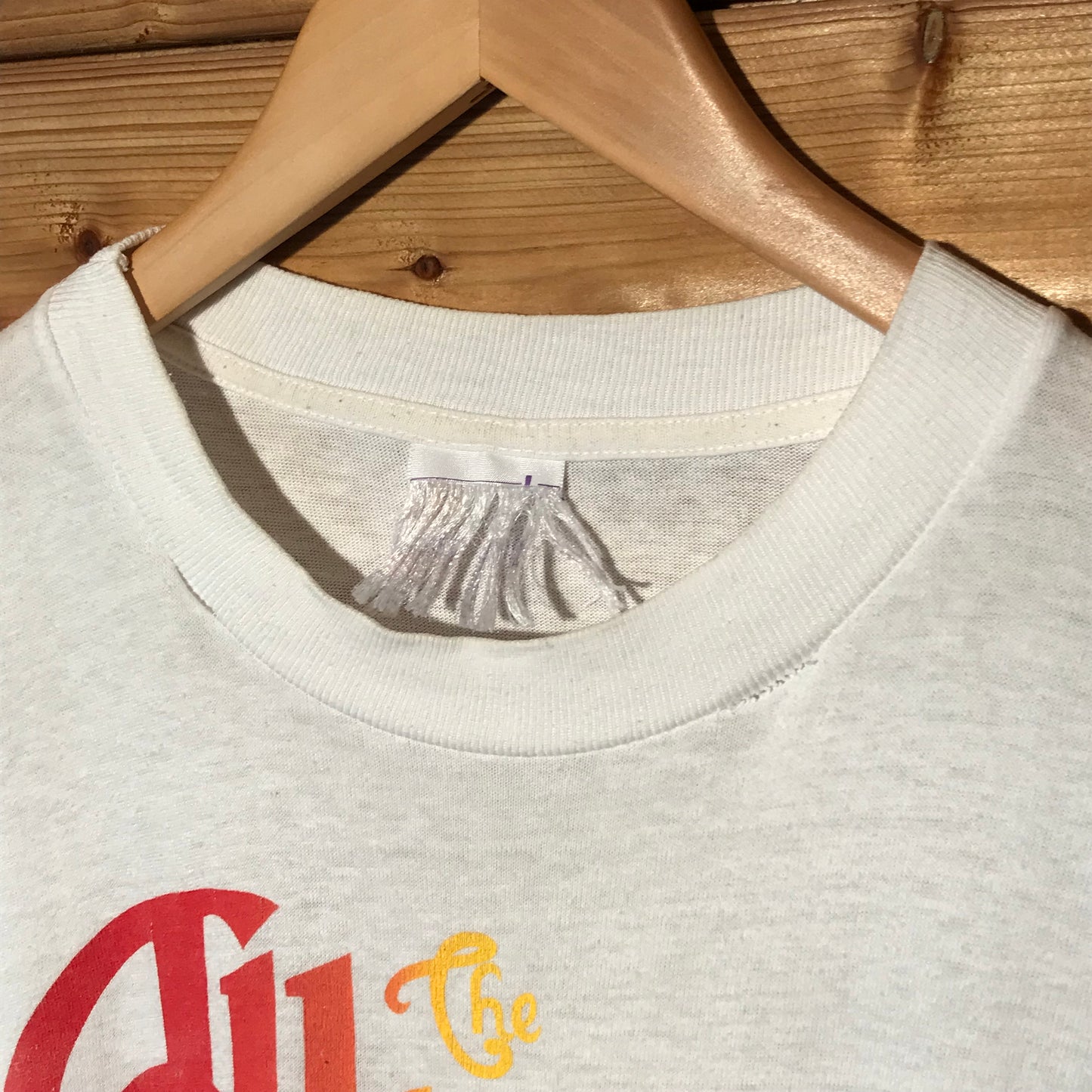 1993 The Allman Brothers Band USA Tour t shirt