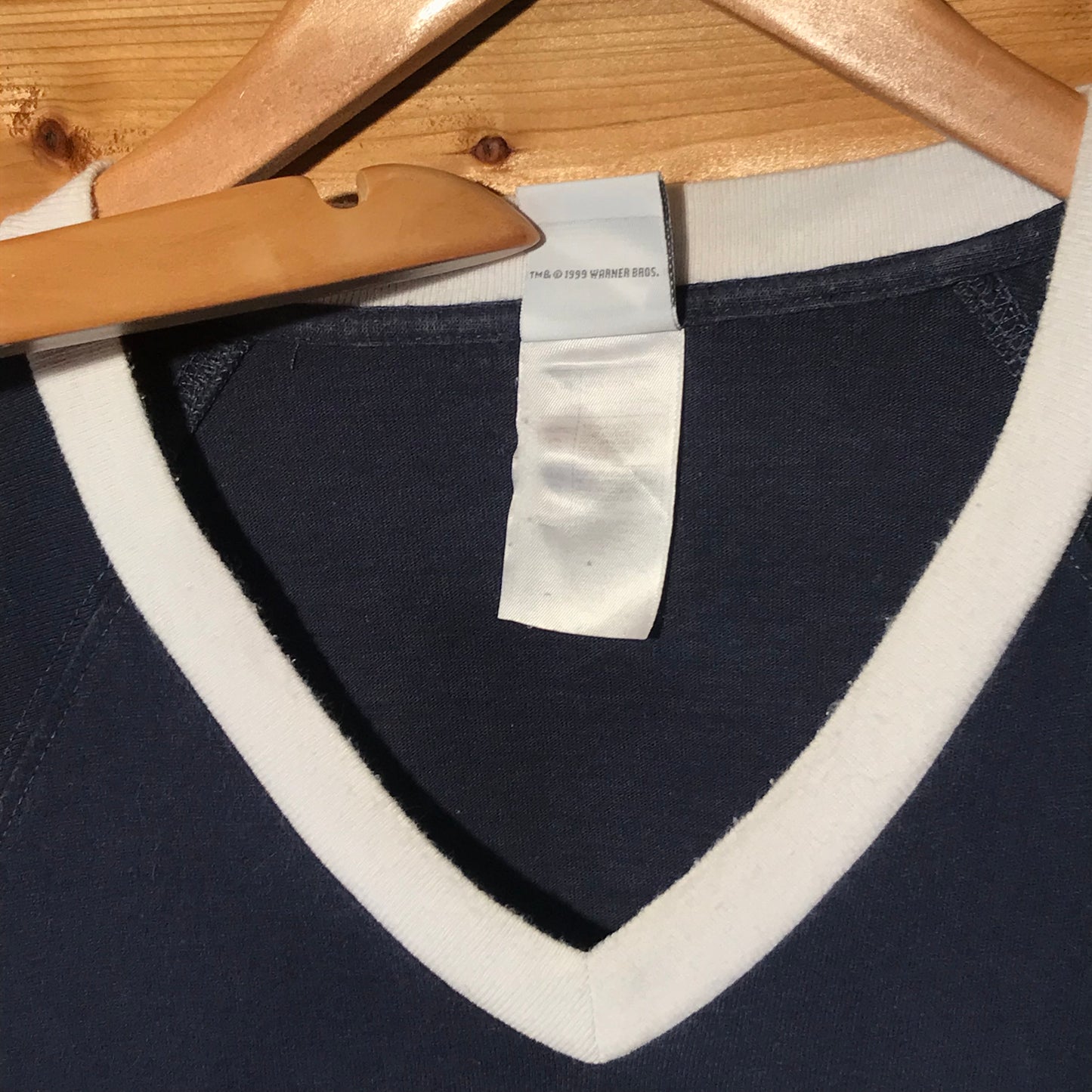 1999 Looney Tunes Tasmanian Devil Longboards t shirt