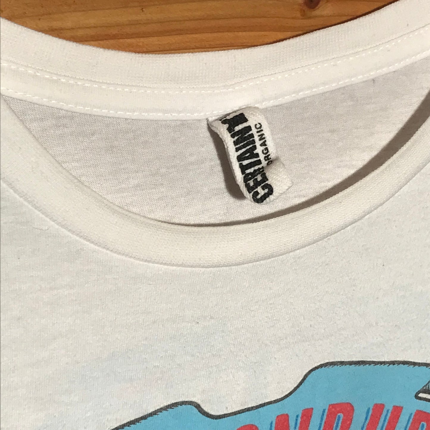 2013 Glastonbury Festival t shirt