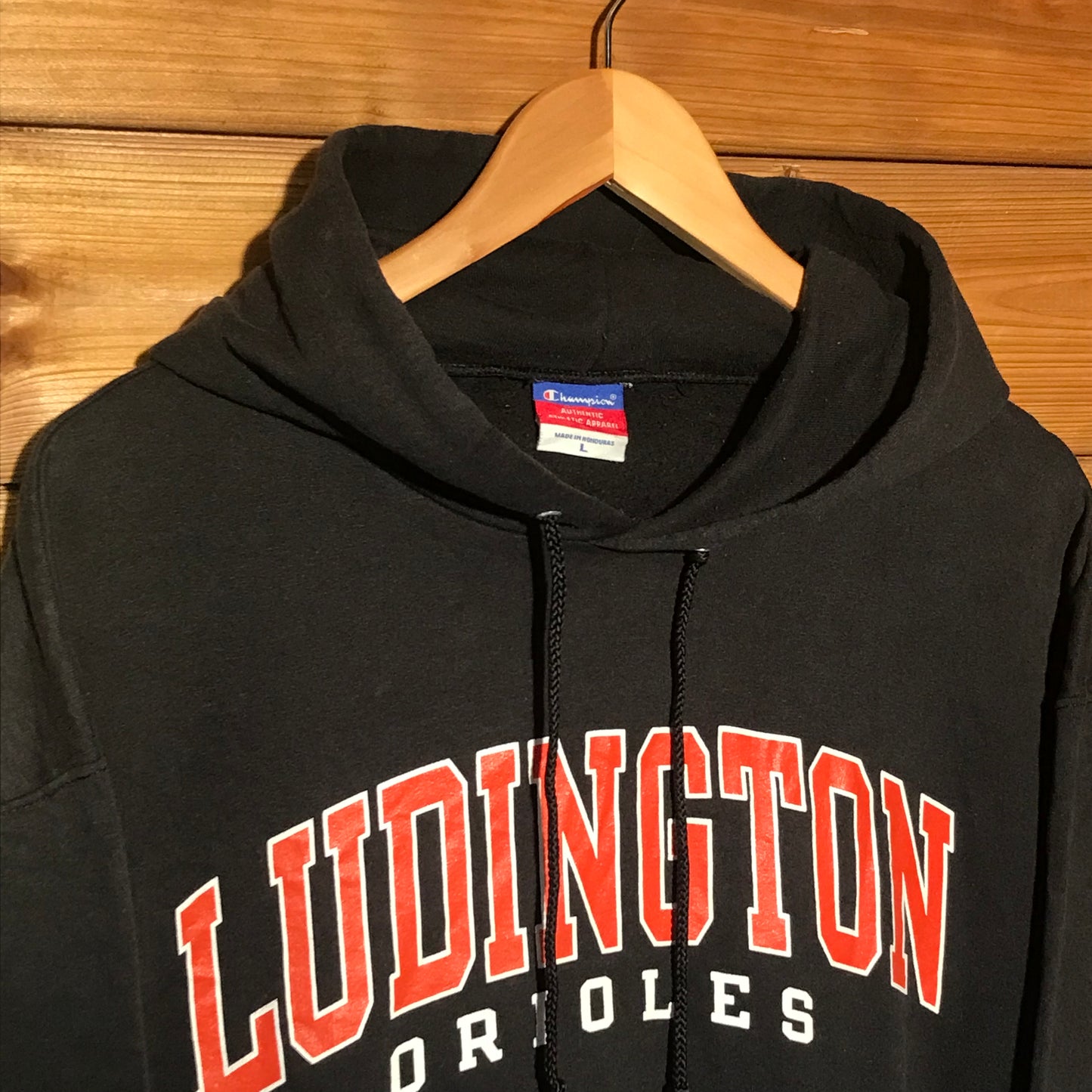 Champion Ludington Orioles Team hoodie