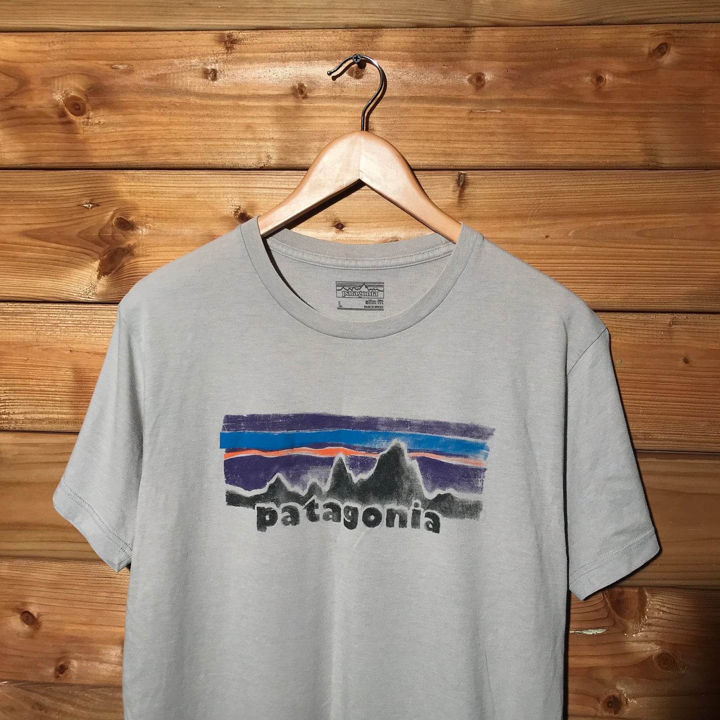 Patagonia classic logo t shirt
