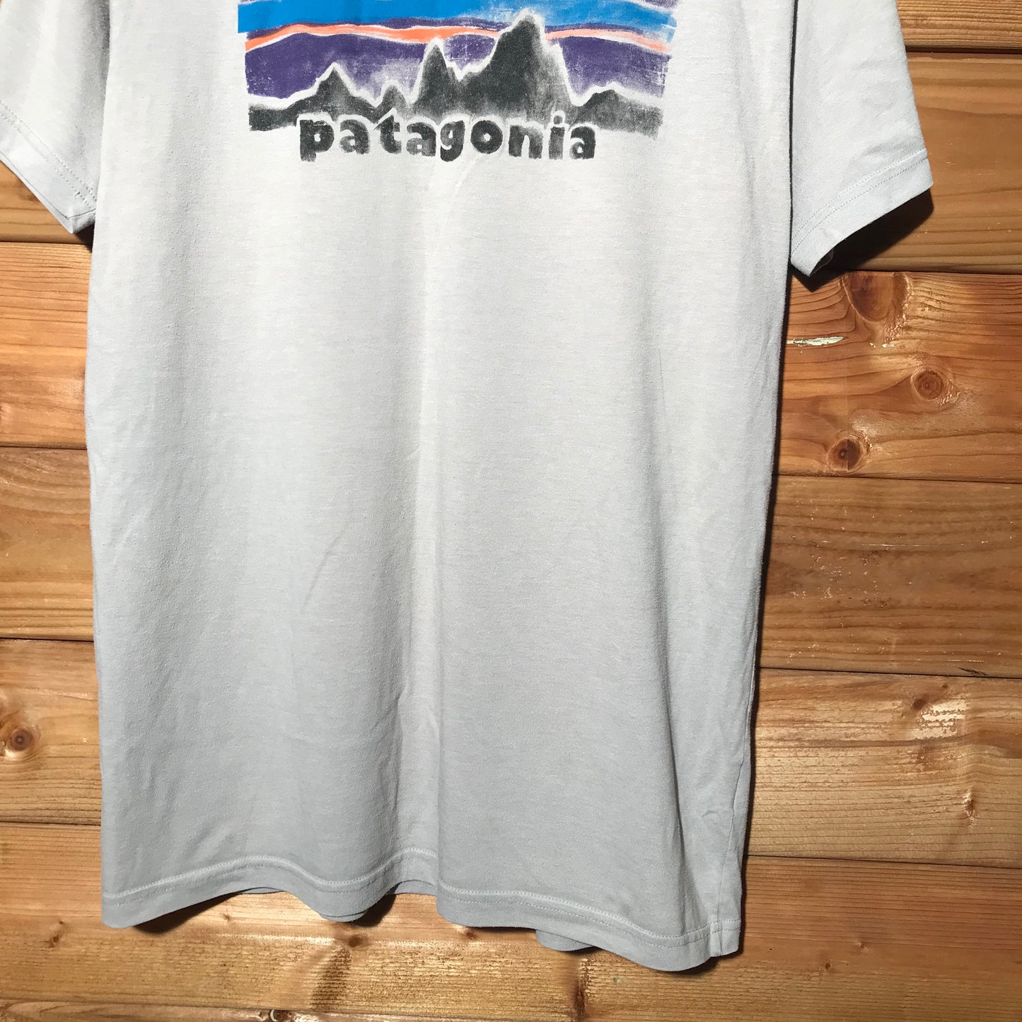 Patagonia classic logo t shirt