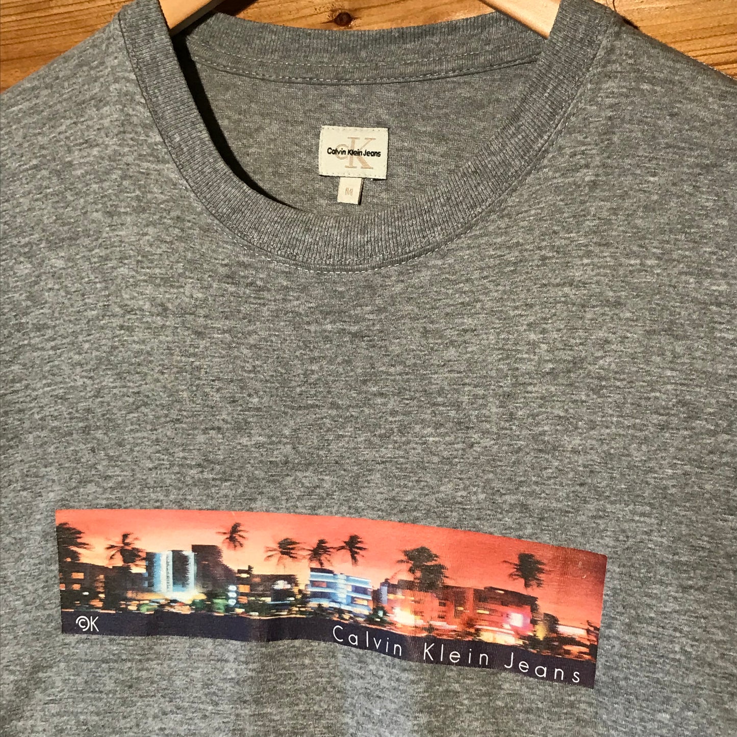 Calvin Klein Jeans Skyline Stripe Spellout t shirt