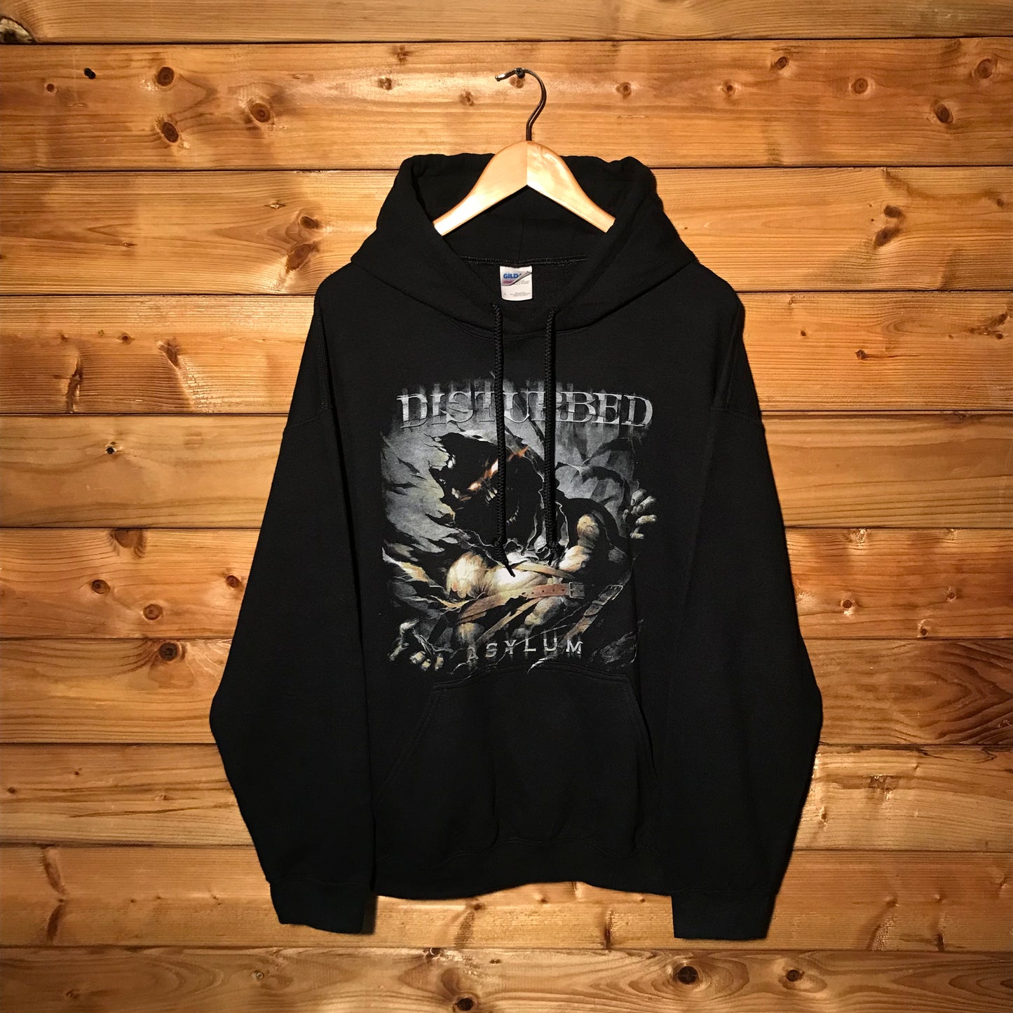 2010 Disturbed Asylum Taste Of Chaos Tour hoodie