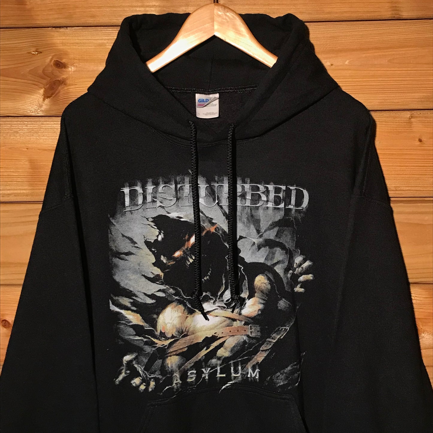 2010 Disturbed Asylum Taste Of Chaos Tour hoodie