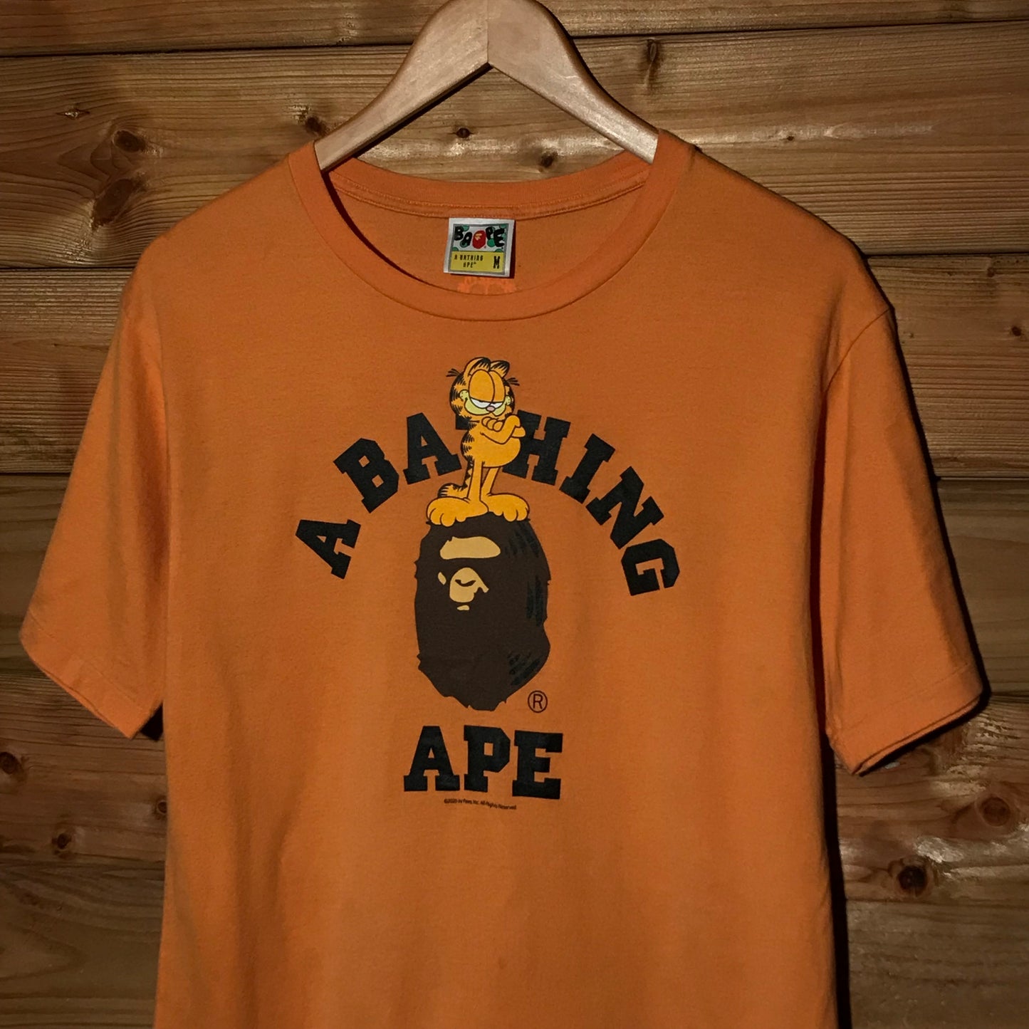 2020 Bape, A Bathing Ape x Garfield College Spellout t shirt