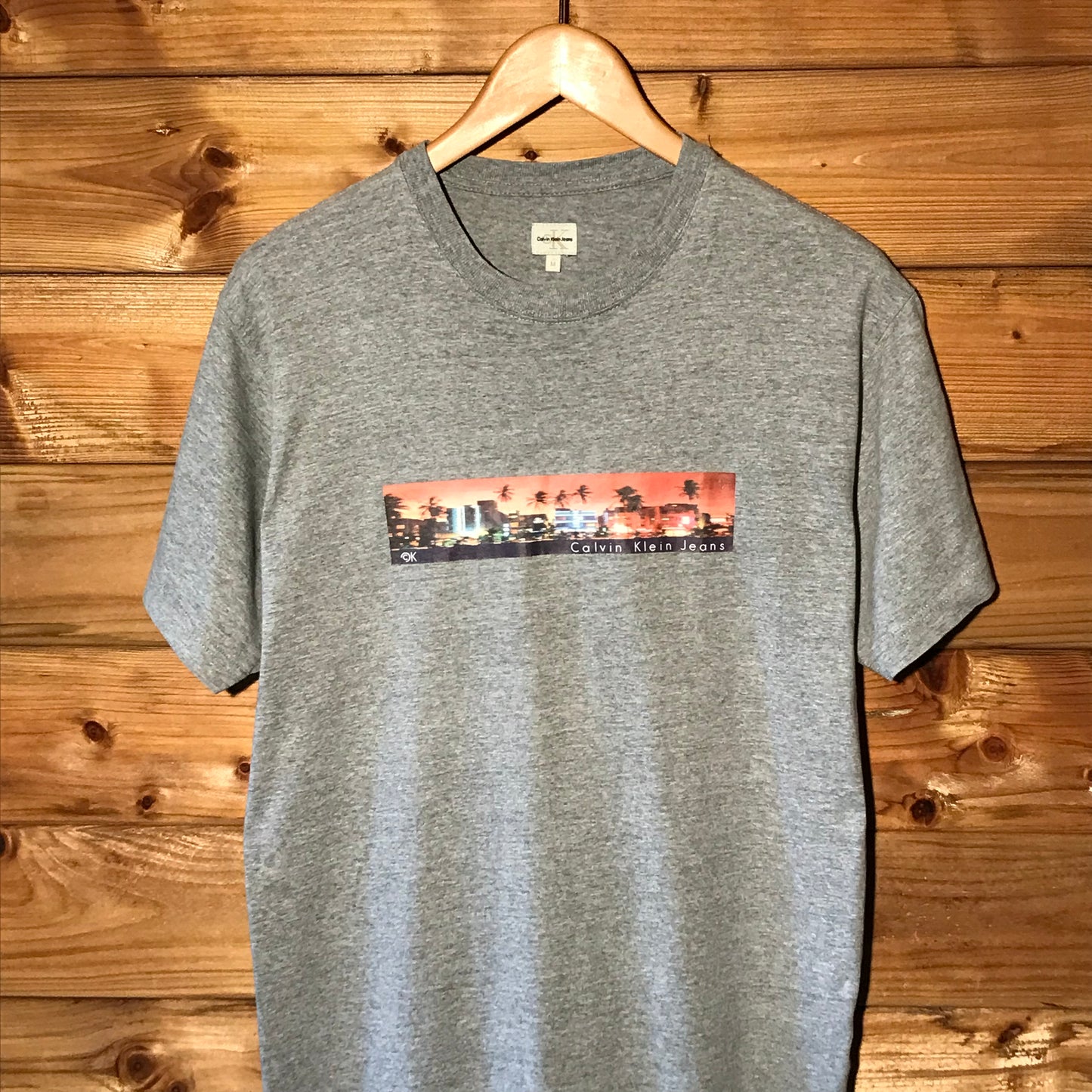 Calvin Klein Jeans Skyline Stripe Spellout t shirt