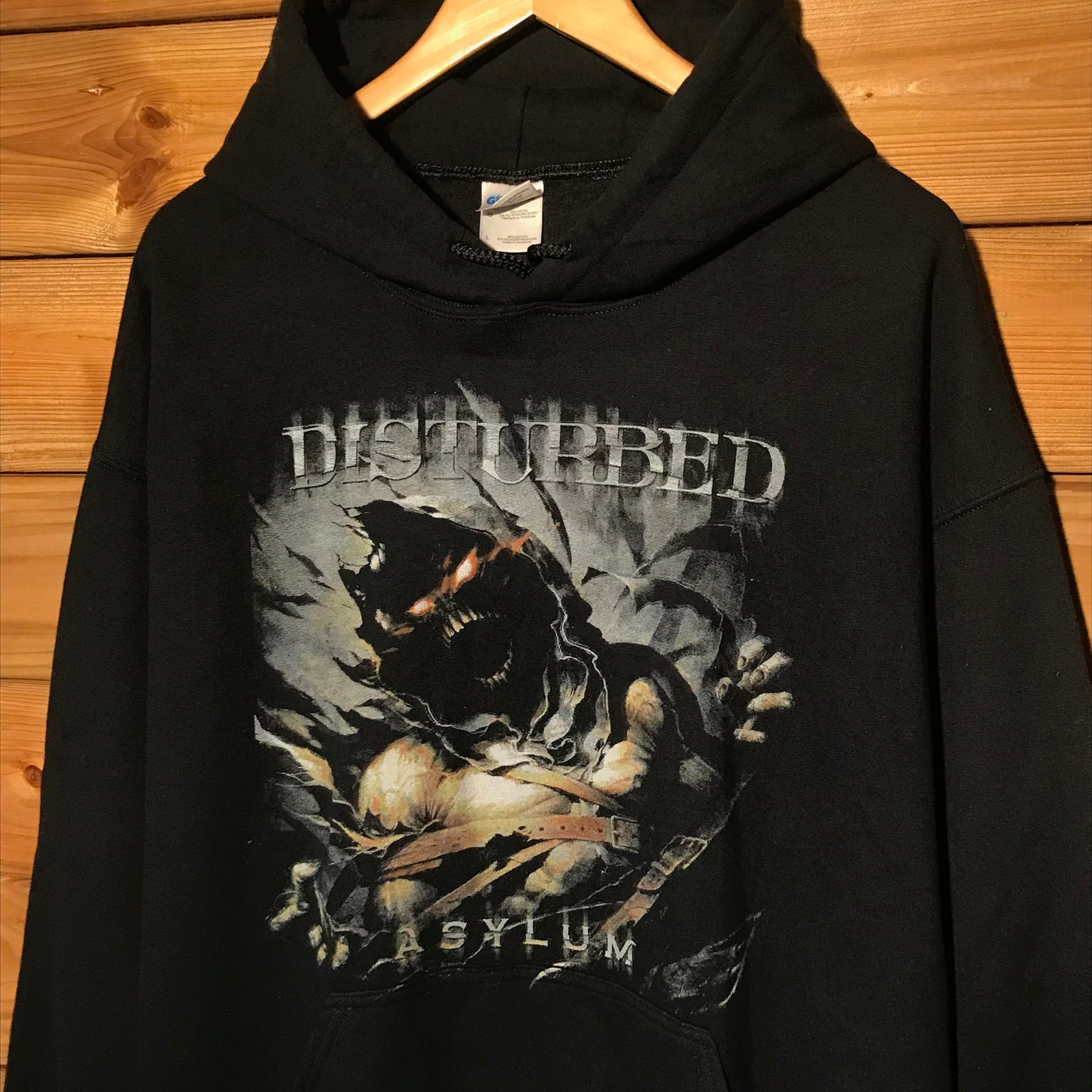 2010 Disturbed Asylum Taste Of Chaos Tour hoodie