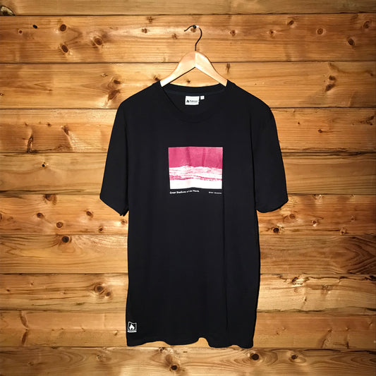 Hanon x Brian Sweeney Great Stadiums of the North t shirt