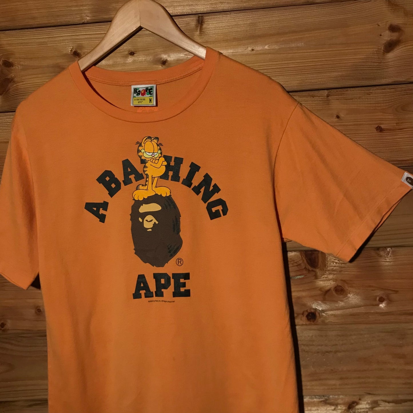 2020 Bape, A Bathing Ape x Garfield College Spellout t shirt