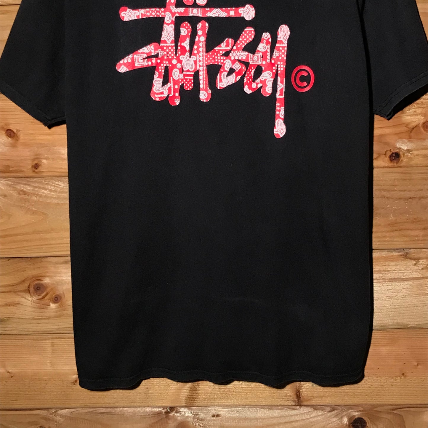 Stüssy Paisley Centre Script Spellout t shirt