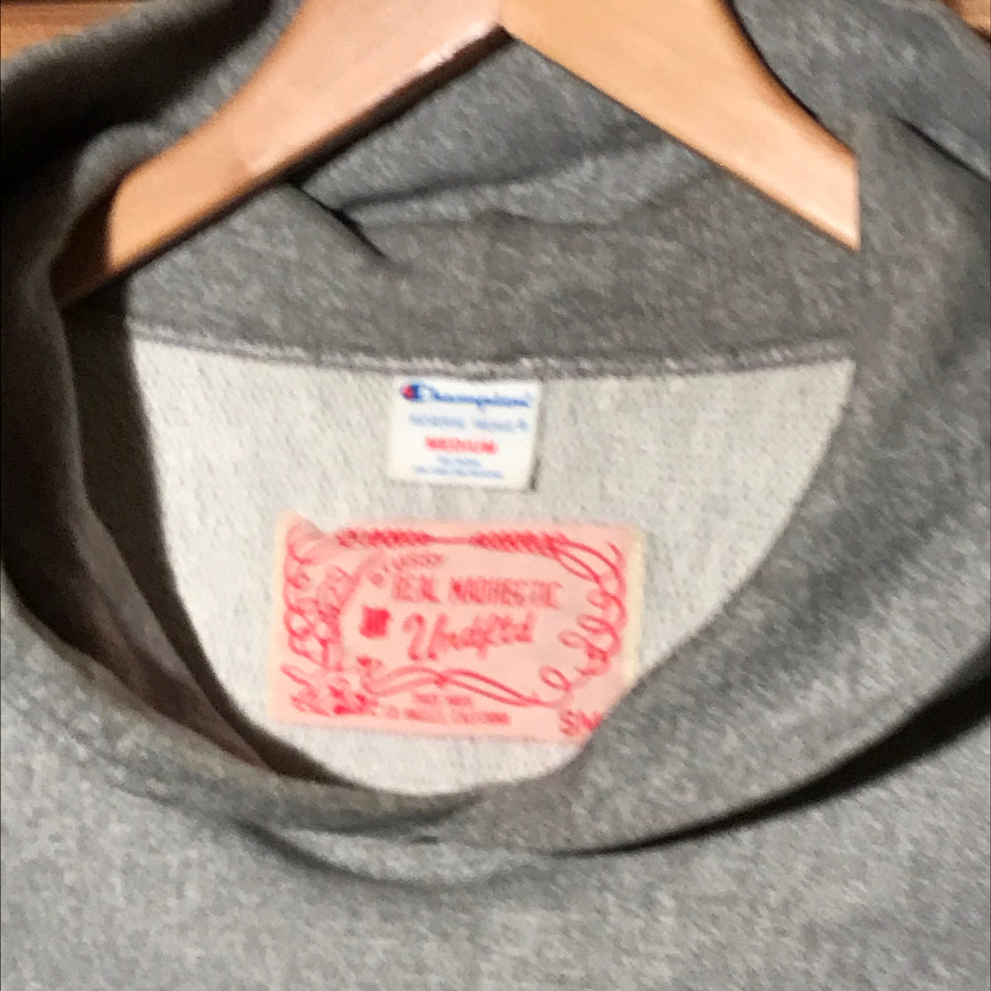 Stussy x 2025 champion hoodie