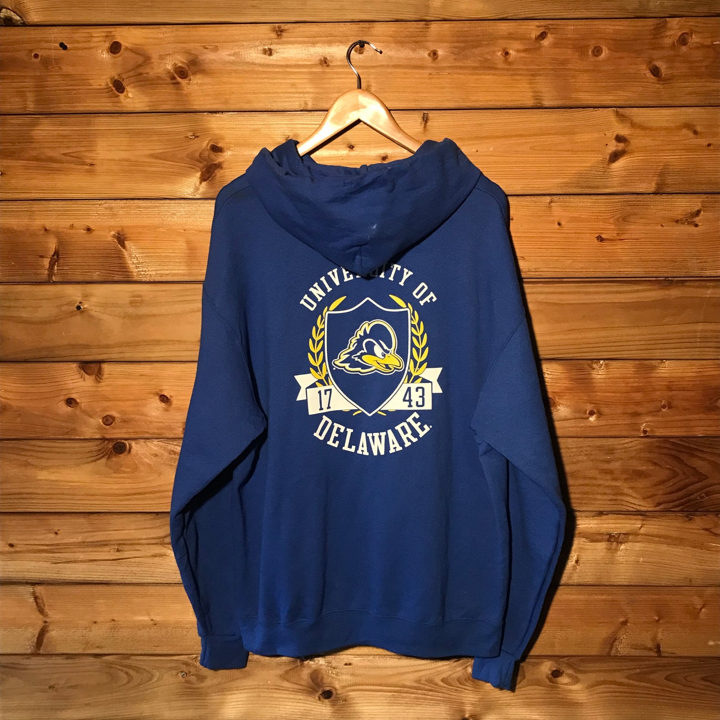 Champion Delaware Blue Hens Team hoodie