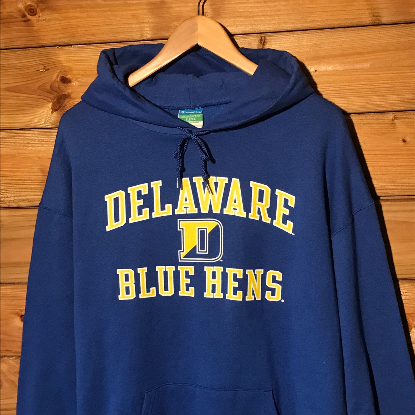 Champion Delaware Blue Hens Team hoodie