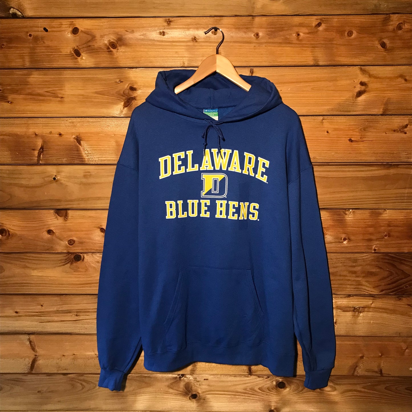 Champion Delaware Blue Hens Team hoodie