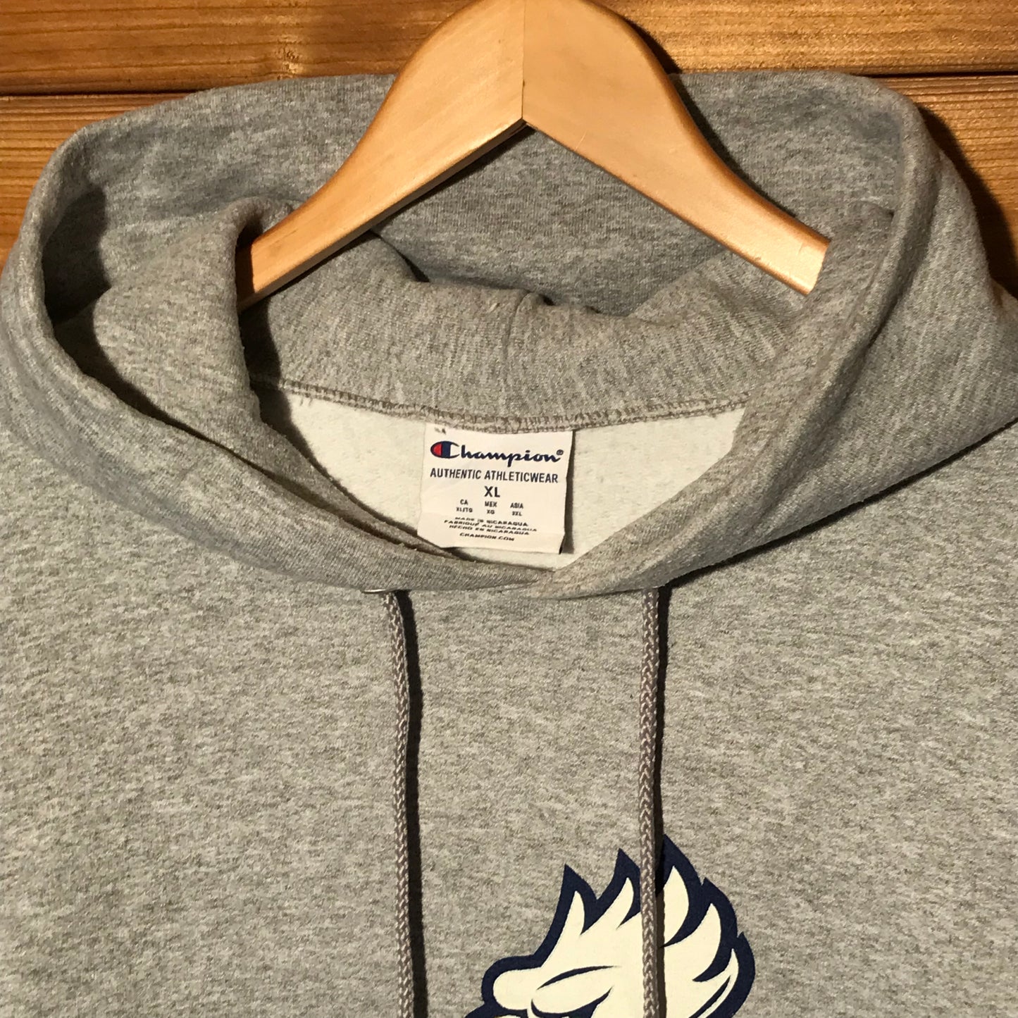 Champion FGCU Eagles Spellout hoodie