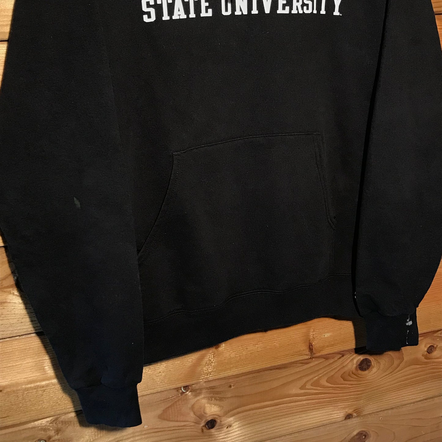 Champion San Francisco State University hoodie