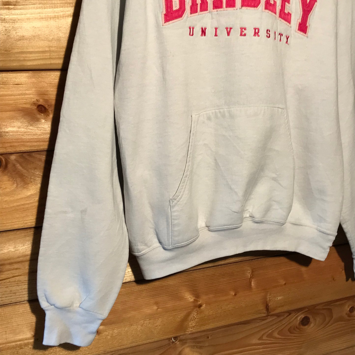 Champion Bradley University hoodie