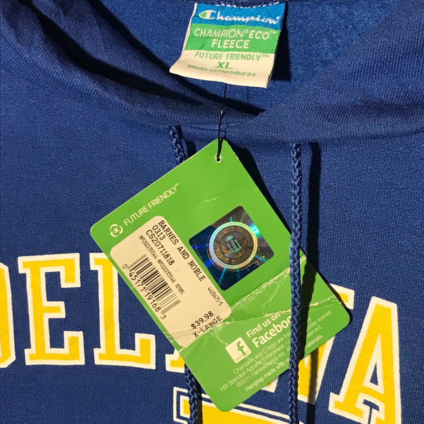 Champion Delaware Blue Hens Team hoodie