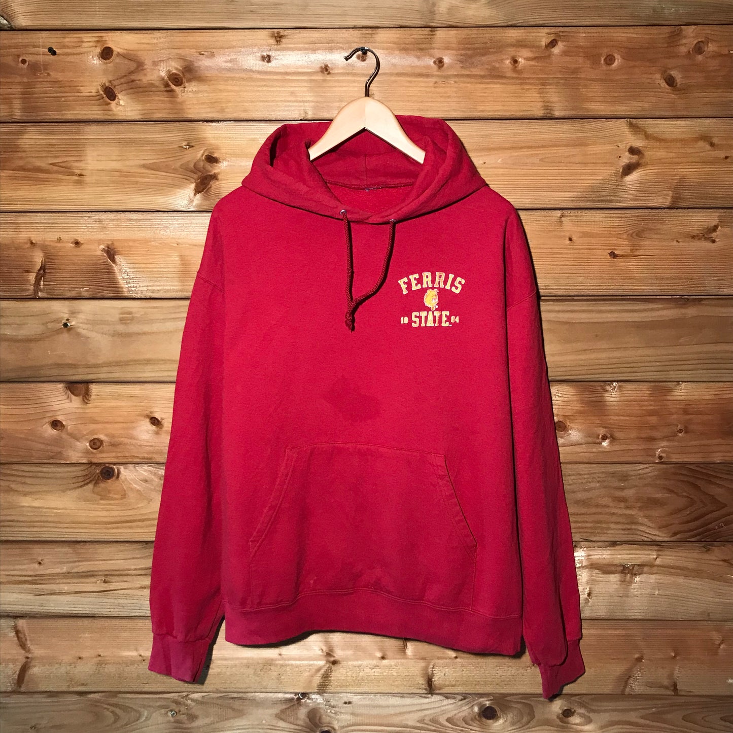 Champion Ferris State Bulldogs Team hoodie