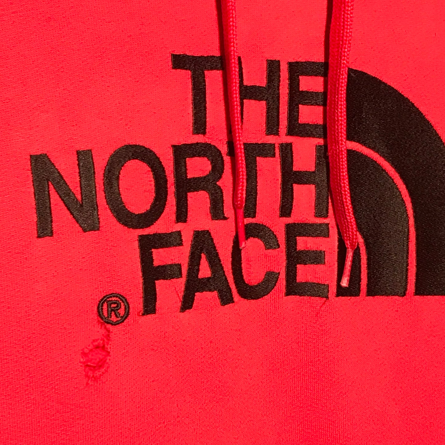 The North Face Spellout Logo hoodie