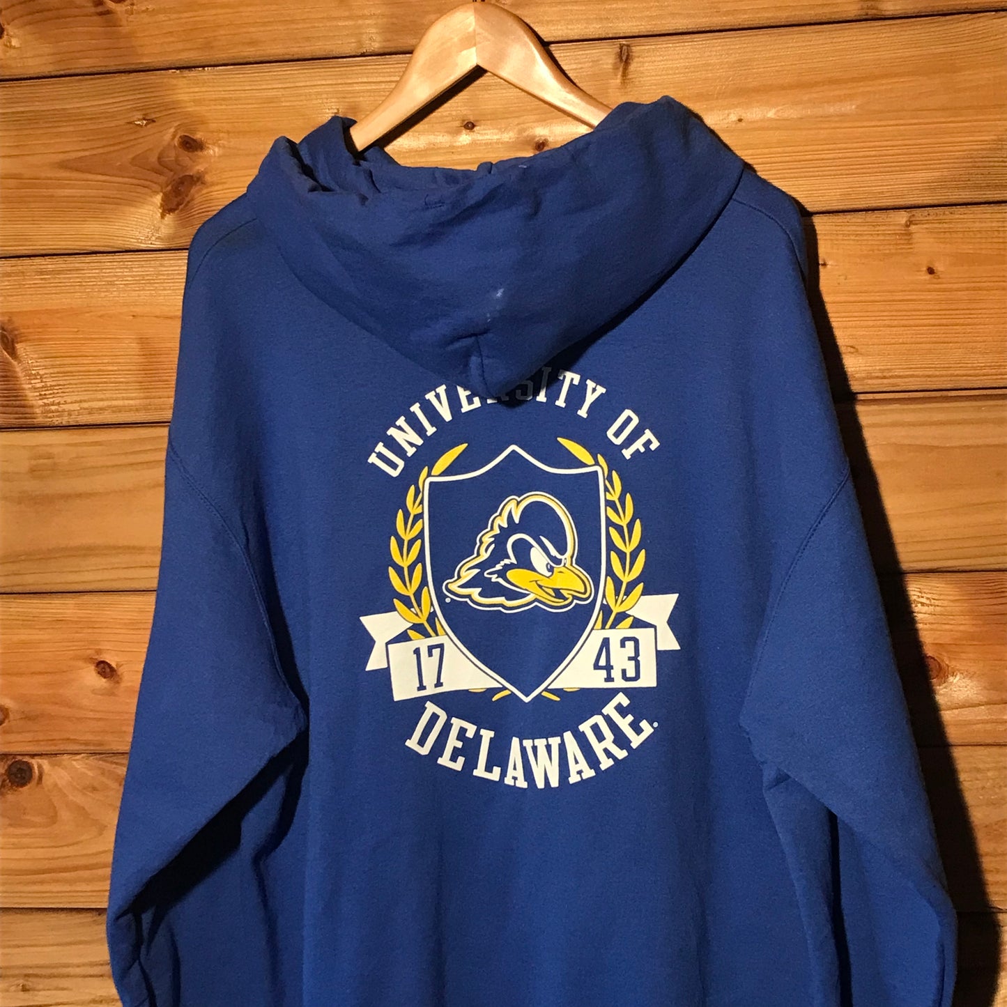 Champion Delaware Blue Hens Team hoodie