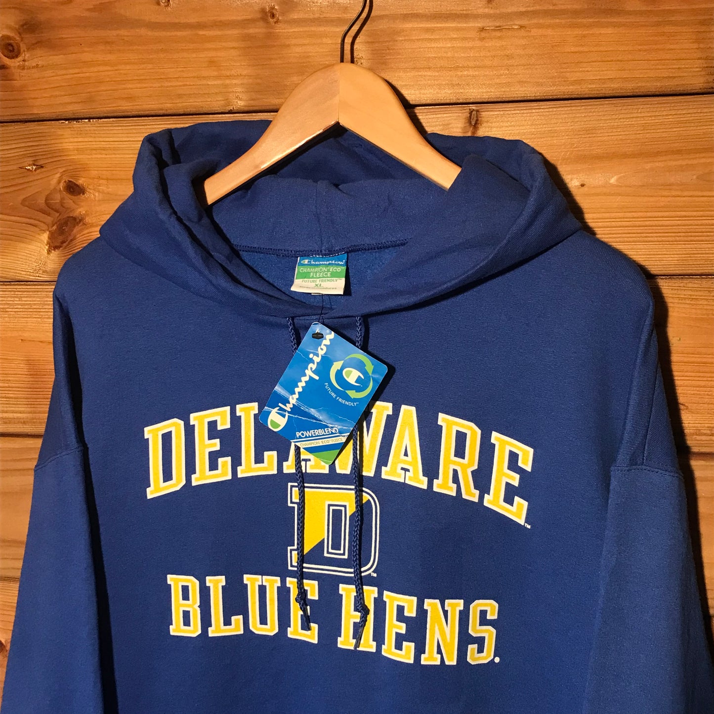 Champion Delaware Blue Hens Team hoodie