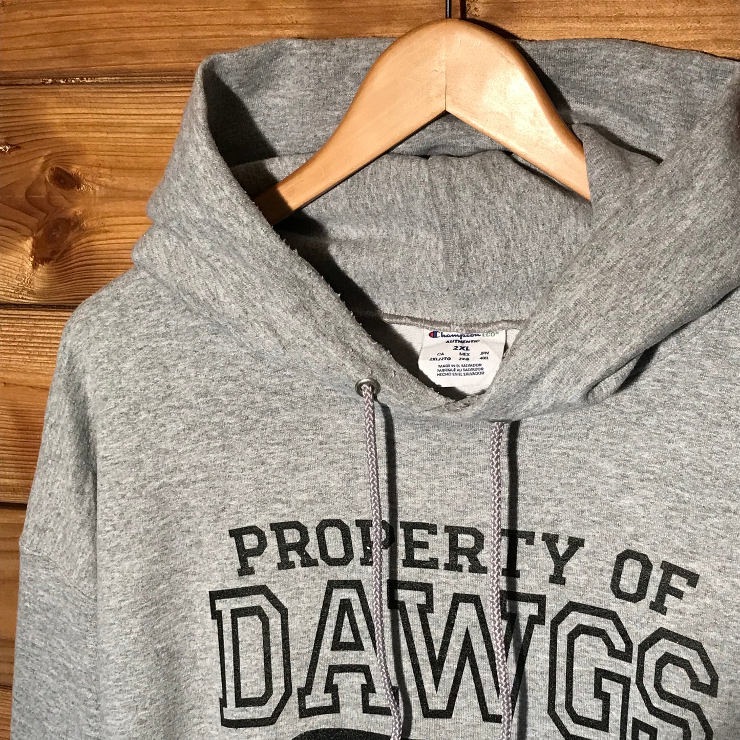 Champion Property Of Dawgs Baseball hoodie