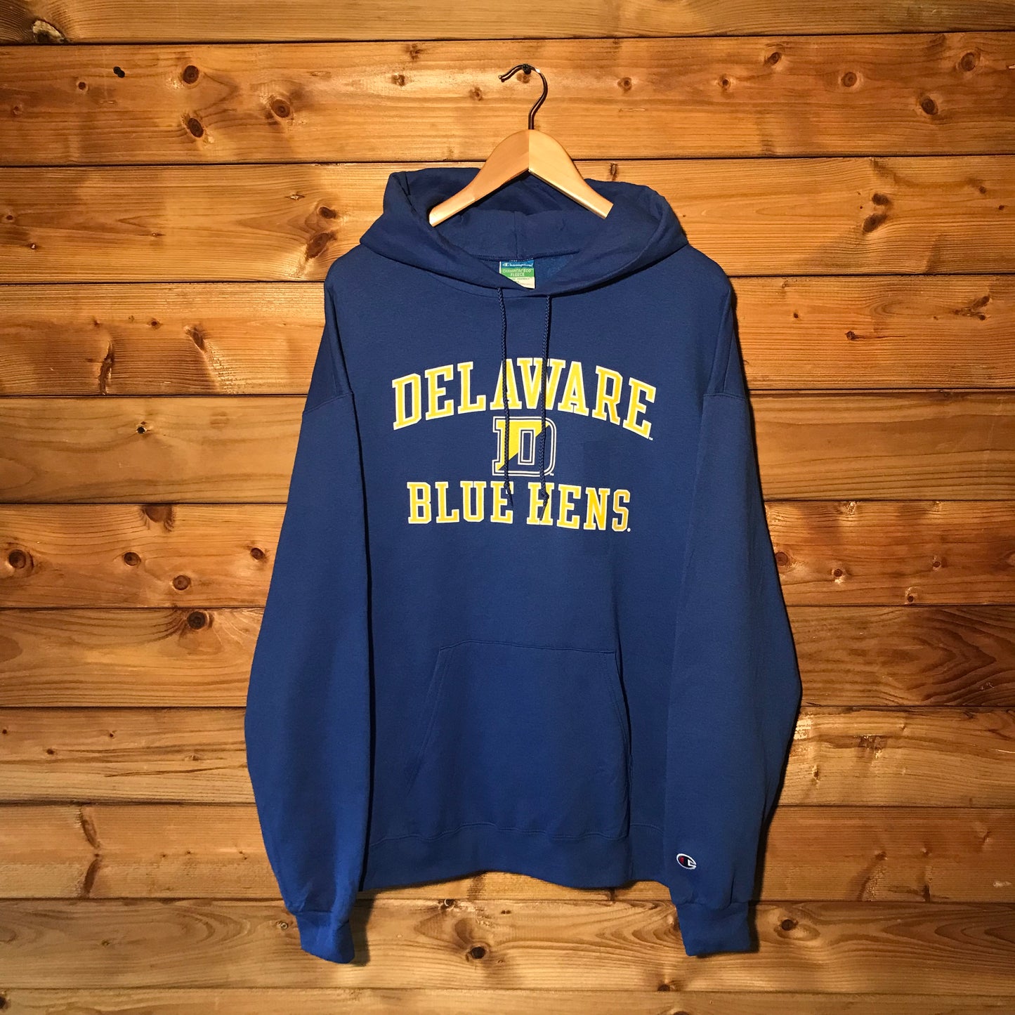 Champion Delaware Blue Hens Team hoodie