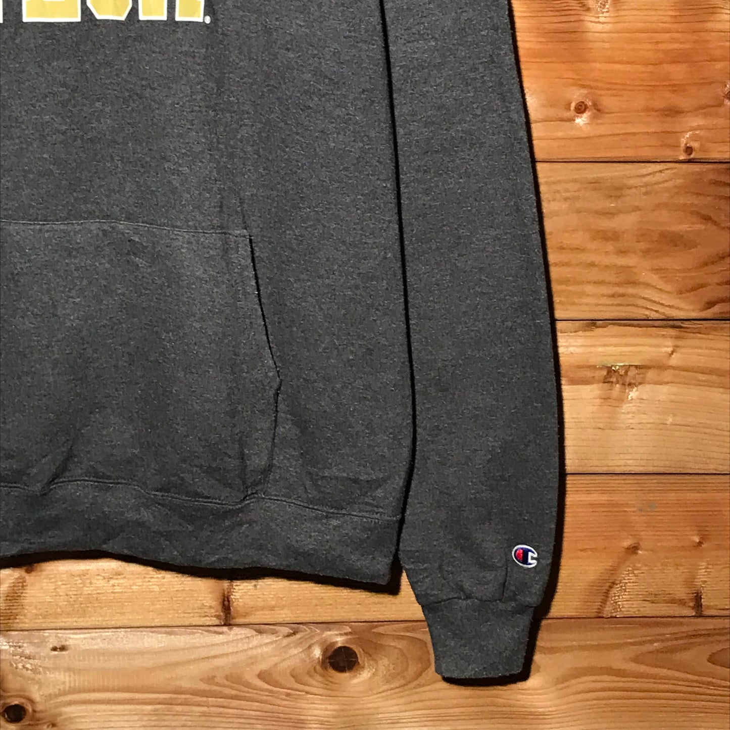 Champion Georgia Tech Arc Spellout hoodie