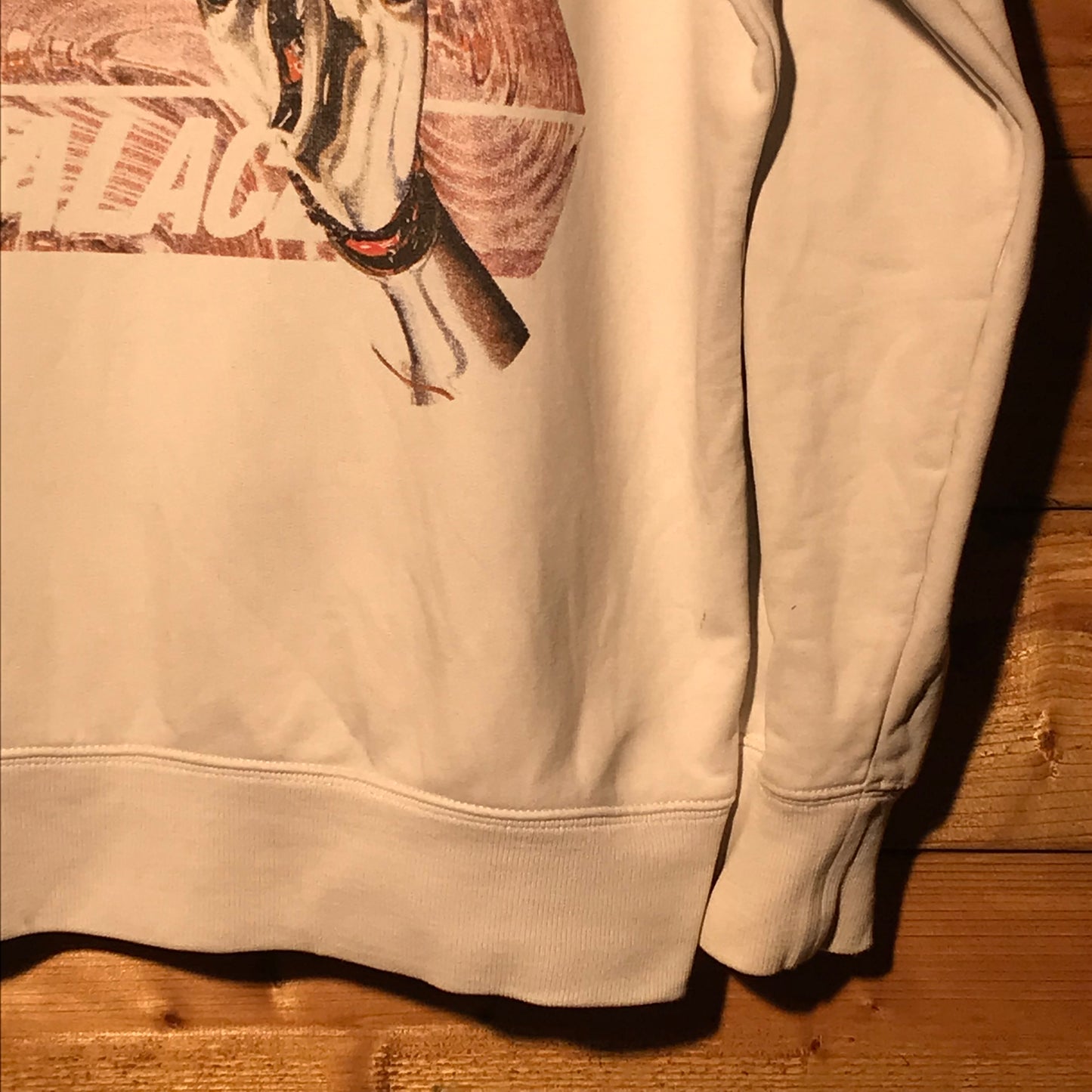 Palace Skeledon Triferg hoodie