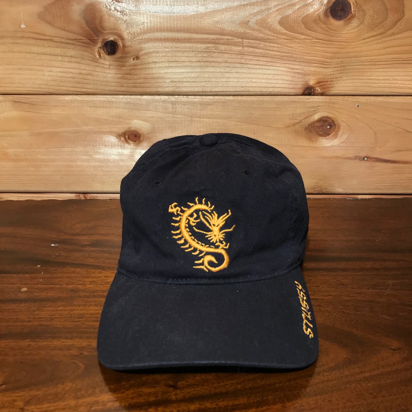 90s Stüssy Hats Dragon logo cap