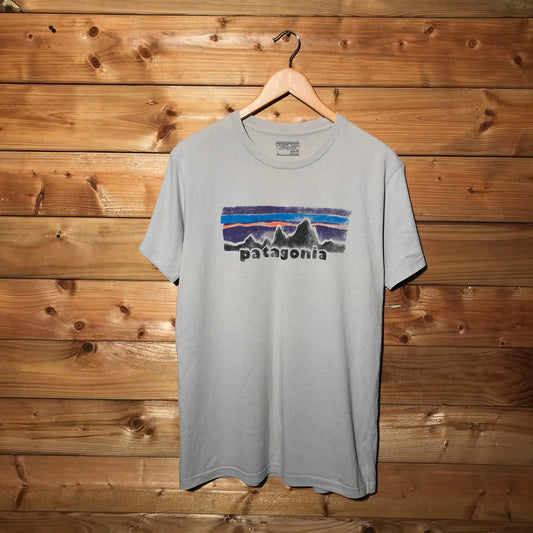 Patagonia classic logo t shirt