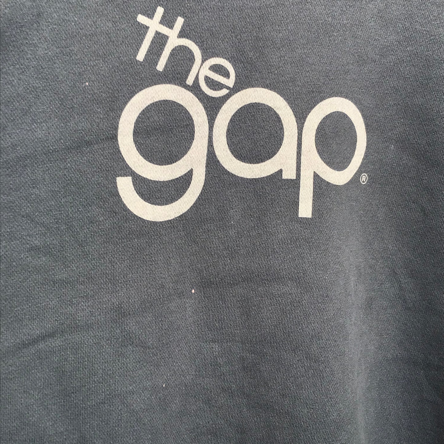 The Gap spellout sweatshirt